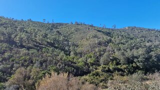 Terreno em Almodôvar