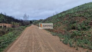 Terreno em Silves
