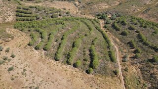 Land for sale in Alcoutim, Portugal — €14,000