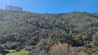Land for sale in Almodôvar, Portugal — €12,000