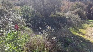Terreno em Almodôvar