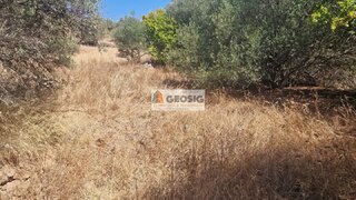Terreno em Mértola
