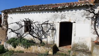 Land for sale in Almodôvar, Portugal — €25,000