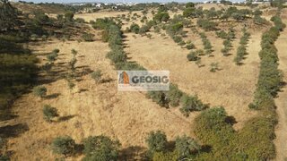 Land for sale in Almodôvar, Portugal — €42,000