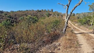 Terreno em Almodôvar · 90 750 m² · 23 000 €
