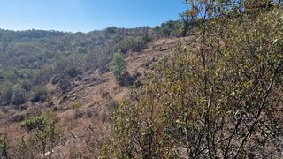Land for sale in Almodôvar, Portugal — €26,000