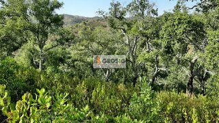 Land for sale in Almodôvar, Portugal — €18,000