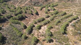 Land for sale in Alcoutim, Portugal — €10,000