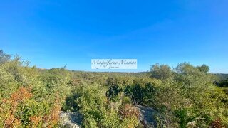 Land for sale in Loulé, Portugal — €650,000