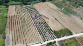 Land for sale in Bombarral, Portugal — €25,000