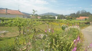 Land for sale in Caminha, Portugal — €55,000