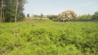 Land for sale in Vila Nova de Cerveira, Portugal — €70,000