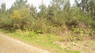 Land for sale in Vila Nova de Cerveira, Portugal — €25,000