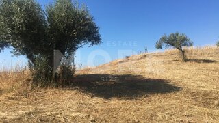 Land for sale in Portel, Portugal — €40,000