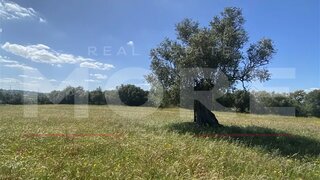 Terreno em Viana do Alentejo