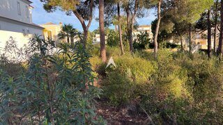Terreno · 900 m² · 1 185 000 €