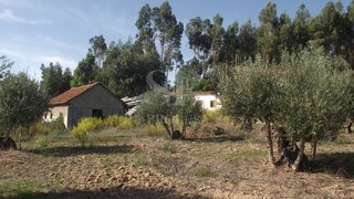 Terreno em Santarém · 8440 m² · 120 000 €