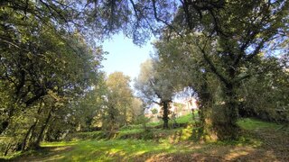Terreno · 2815 m² · 45 000 €