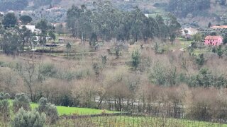 Terreno · 5232 m² · 50 000 €