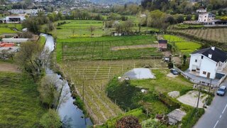 Terreno · 7130 m² · 85 000 €
