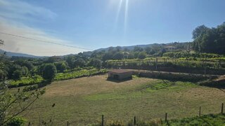 Terreno em Arcos de Valdevez · 3965 m² · 59 000 €