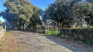 Terreno em Santo Tirso · 7000 m² · 210 000 €