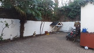 casafari-bild