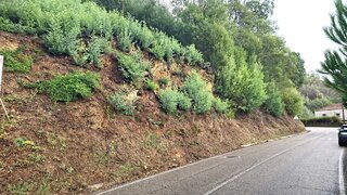 Land for sale in Coimbra, Portugal — €45,000
