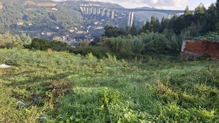 Terreno em Coimbra · 1170 m² · 90 000 €