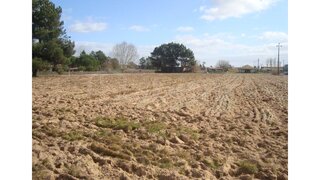 Land for sale in Salvaterra de Magos, Portugal — €390,000