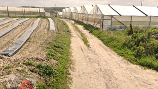 Land for sale in Torres Vedras, Portugal — €545,000