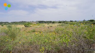 Land for sale in Idanha-a-Nova, Portugal — €12,000
