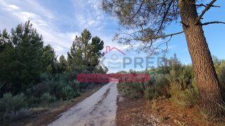 Terreno em Moimenta da Beira