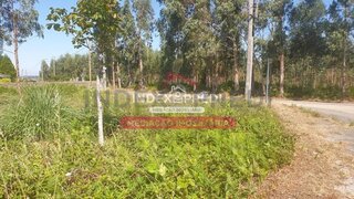 Land for sale in Águeda, Portugal — €20,000