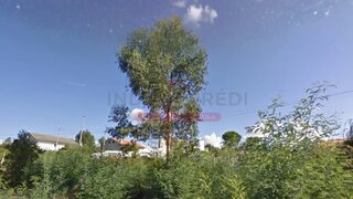 Land for sale in Tábua, Portugal — €27,000
