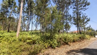 Terreno em Oliveira do Bairro · 1020 m² · 60 000 €