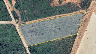 Terreno em Albergaria-a-Velha · 7338 m² · 390 000 €