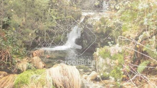 Terreno · 3140 m² · 6000 €