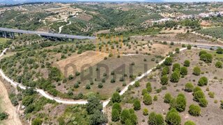 Terreno em Santarém · 8320 m² · 49 500 €