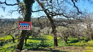 Terreno em Ansião · 600 m² · 24 500 €