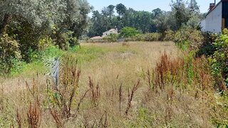 Terreno em Pombal · 1200 m² · 30 000 €
