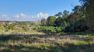 Terreno em Leiria · 1600 m² · 39 500 €
