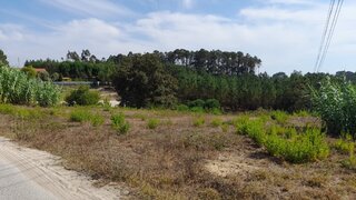 Terreno em Leiria · 3000 m² · 81 000 €