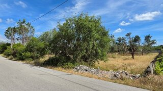 Terreno em Leiria · 3372 m² · 118 000 €