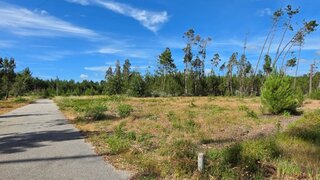 Terreno em Leiria · 4420 m² · 78 000 €