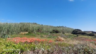 Terreno em Leiria · 3300 m² · 169 000 €
