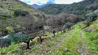 Terreno · 71 790 m² · 49 000 €