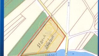 Land for sale in Alpiarça, Portugal — €55,000