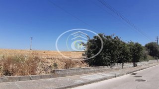 Land for sale in Alpiarça, Portugal — €115,000
