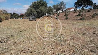 Land for sale in Alpiarça, Portugal — €30,000